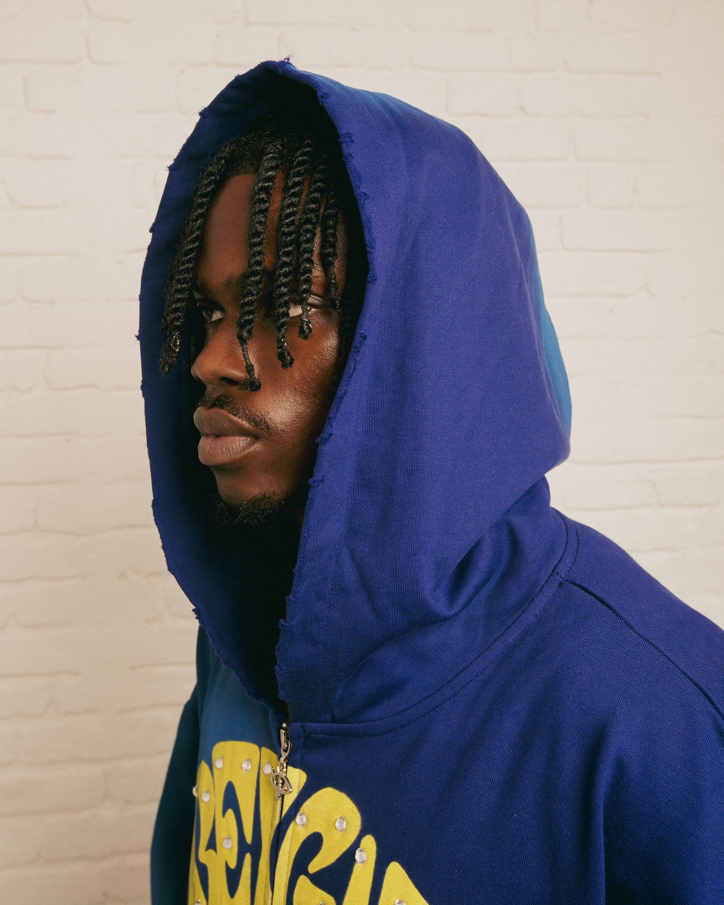 THE AMERICAN DREAM HOODIE