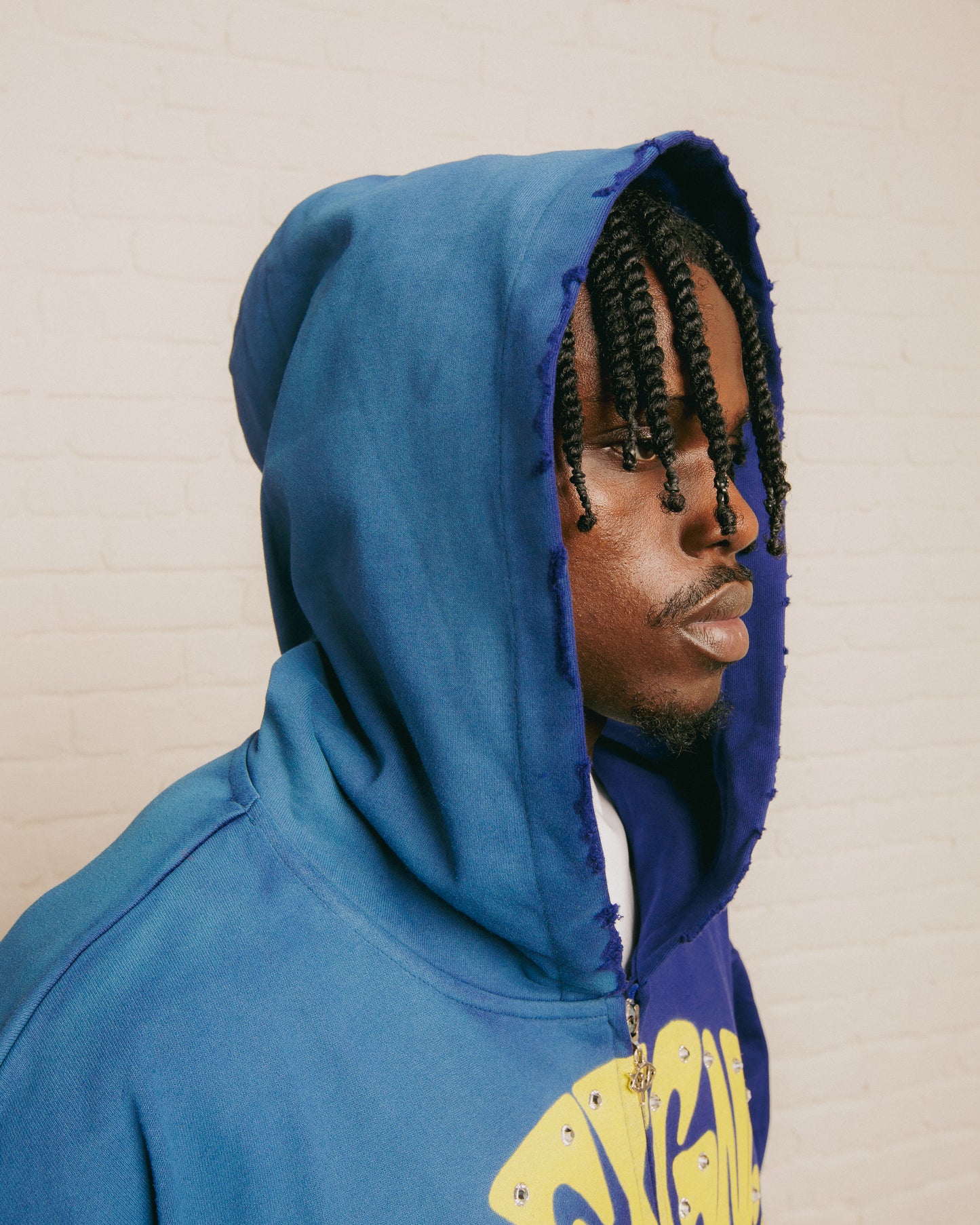 THE AMERICAN DREAM HOODIE